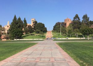 Part-time MBA students Kai Qian, Philippe de Mijolla and Thomas Vermeulen chose to go to UCLA for an exchange.