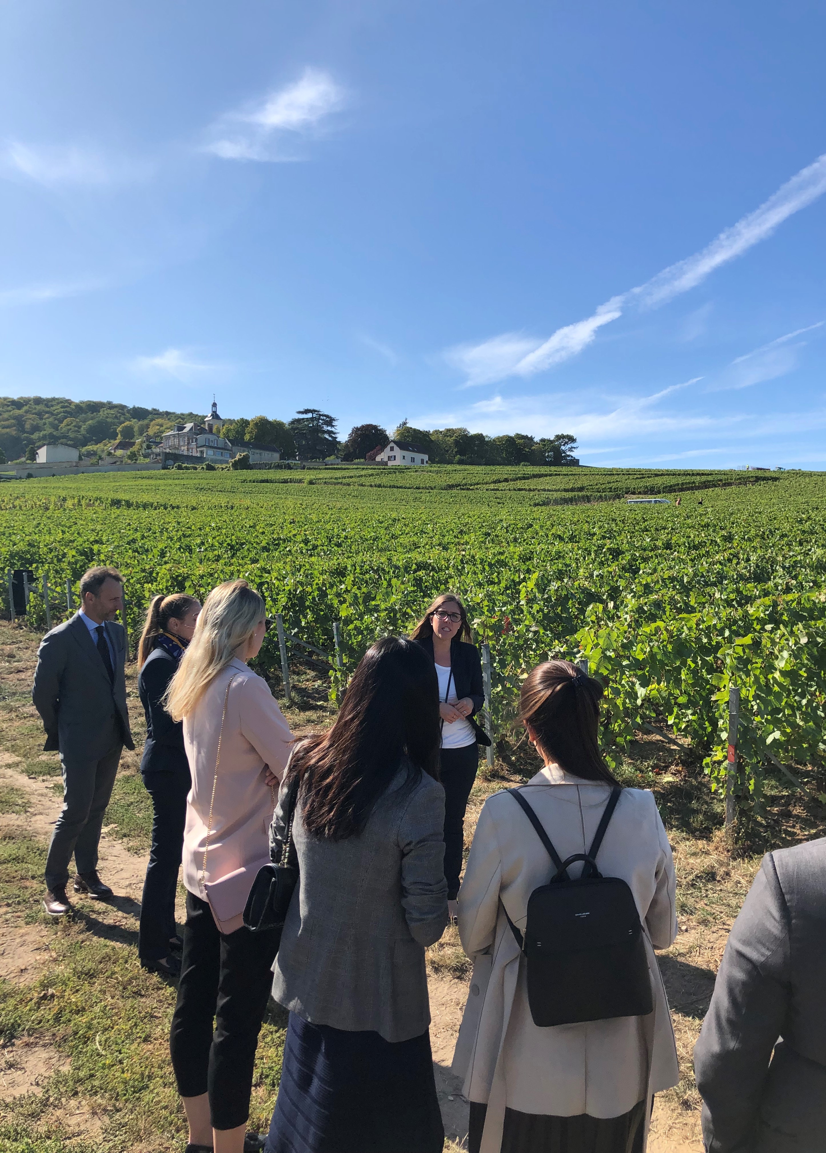 Students visiting the Veuve Clicquot vineyards