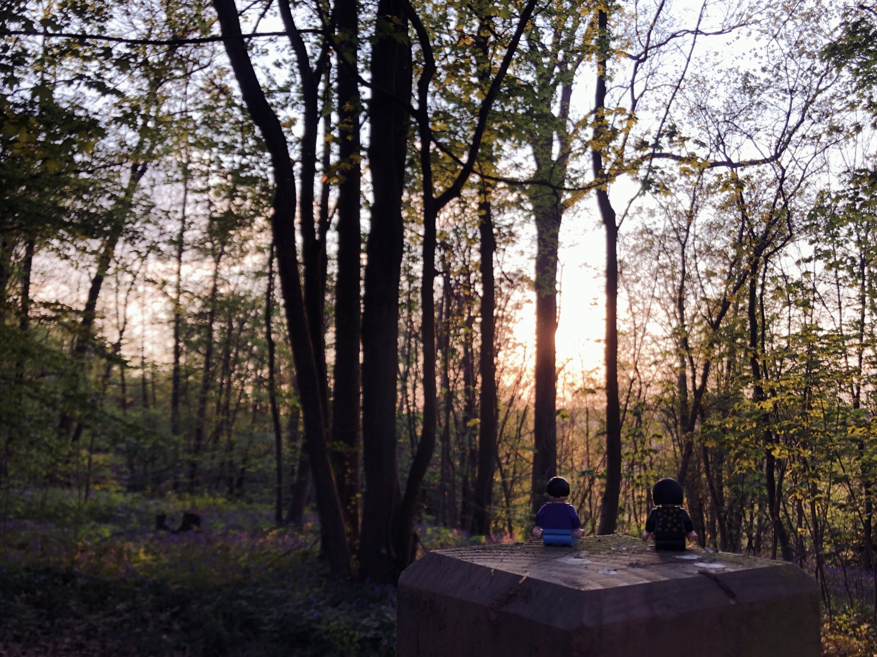 The same lego couple sat on a wooden pedestal, looking onto the background of the woods during sunset. The dulled sun filters through the trees.