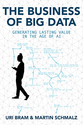 Book Cover of 'The Business of Big Data'