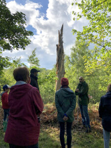 During the tour, forest expert Arnaud de Grave explains that burned trees create the perfect habitat for certain types of insects to thrive